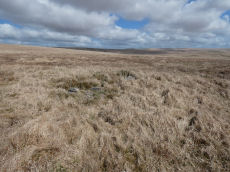 Hare Tor N.3 Cairn