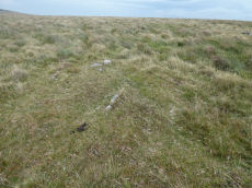 Langstone Moor 2 Cist