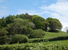 Sidbury Castle Fort
