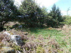 Hayne Down Round House