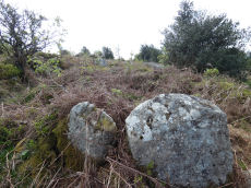 Hayne Down Round House