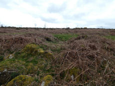 Heatree Down Round House