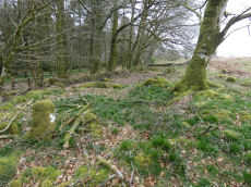 Heatree Down Round House