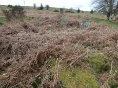 Heatree Down House 2 Round House