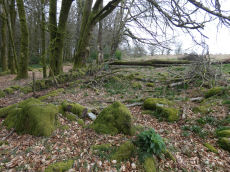 Heatree Down Round House