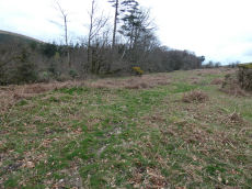 Heatree Down House 4 Round House