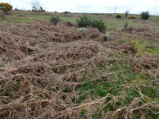 Heatree Down House 3 Round House