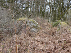 Vogwell Down 1 Round House