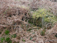 Vogwell Down 2 Round House