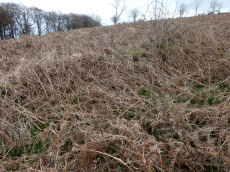 Vogwell Down 3 Round House