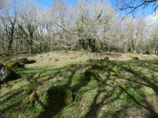 Sharpitor (Lustleigh) Round House