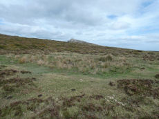 Saddle Tor C Ancient Pool